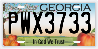 GA license plate PWX3733