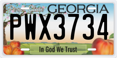 GA license plate PWX3734