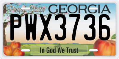 GA license plate PWX3736