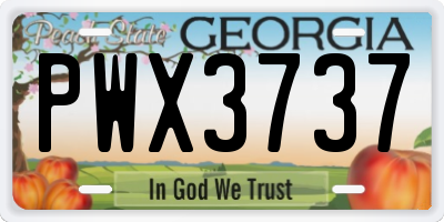 GA license plate PWX3737