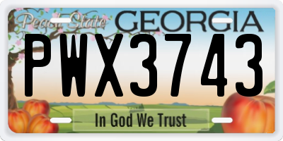 GA license plate PWX3743