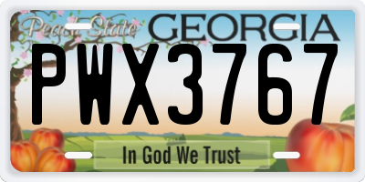 GA license plate PWX3767