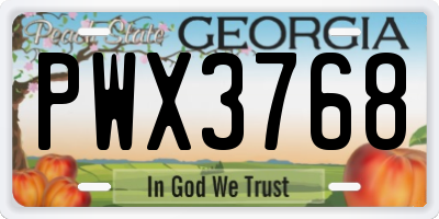 GA license plate PWX3768