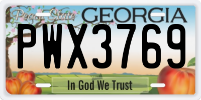 GA license plate PWX3769