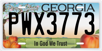 GA license plate PWX3773