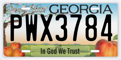 GA license plate PWX3784