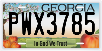 GA license plate PWX3785