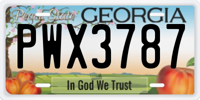 GA license plate PWX3787