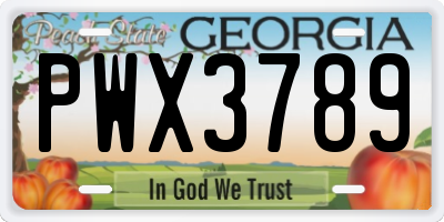 GA license plate PWX3789