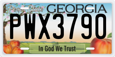GA license plate PWX3790