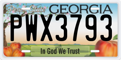 GA license plate PWX3793