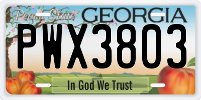 GA license plate PWX3803