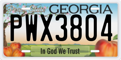 GA license plate PWX3804