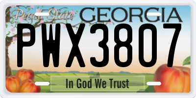 GA license plate PWX3807