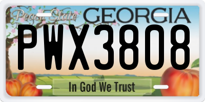 GA license plate PWX3808