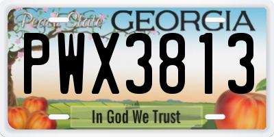 GA license plate PWX3813