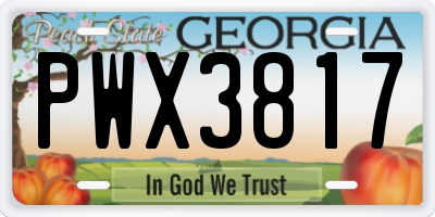 GA license plate PWX3817