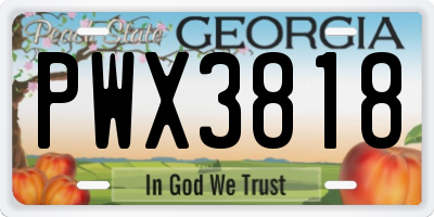 GA license plate PWX3818