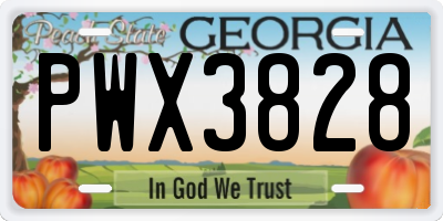 GA license plate PWX3828