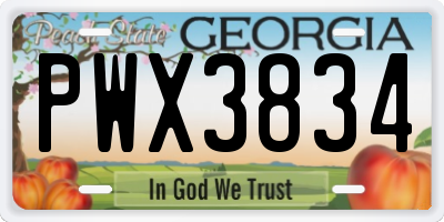GA license plate PWX3834