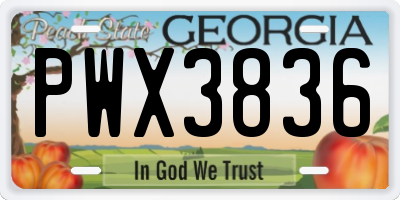 GA license plate PWX3836