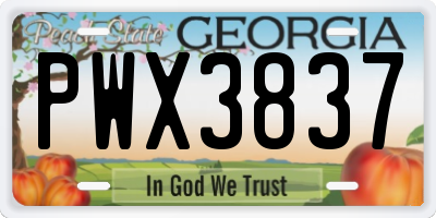 GA license plate PWX3837