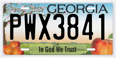 GA license plate PWX3841