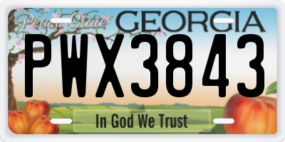 GA license plate PWX3843
