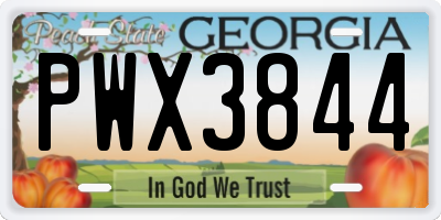 GA license plate PWX3844