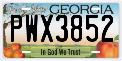 GA license plate PWX3852