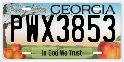 GA license plate PWX3853
