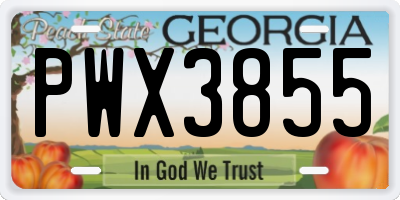 GA license plate PWX3855