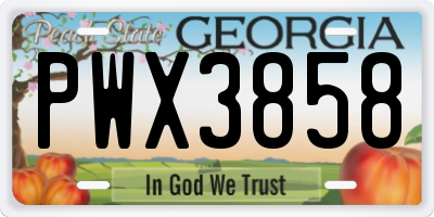 GA license plate PWX3858