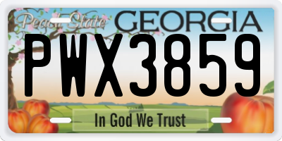 GA license plate PWX3859