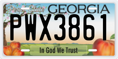 GA license plate PWX3861