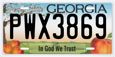 GA license plate PWX3869