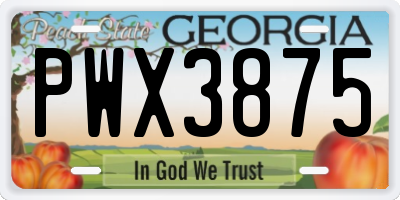 GA license plate PWX3875