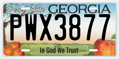 GA license plate PWX3877