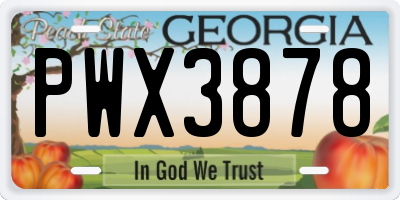 GA license plate PWX3878