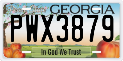 GA license plate PWX3879