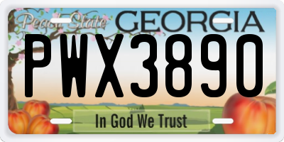 GA license plate PWX3890