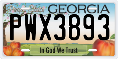 GA license plate PWX3893