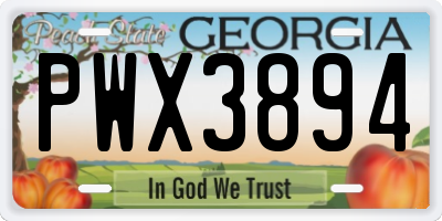 GA license plate PWX3894