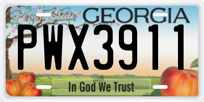 GA license plate PWX3911