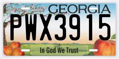 GA license plate PWX3915