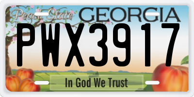 GA license plate PWX3917