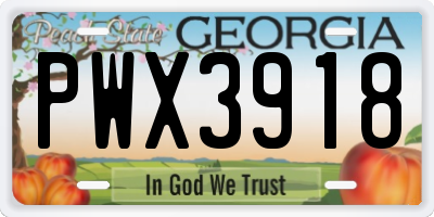 GA license plate PWX3918