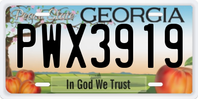 GA license plate PWX3919
