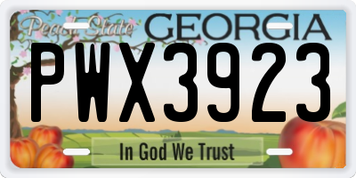 GA license plate PWX3923
