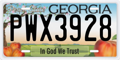 GA license plate PWX3928